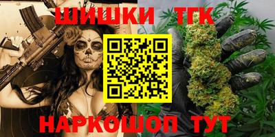 тгк Будённовск