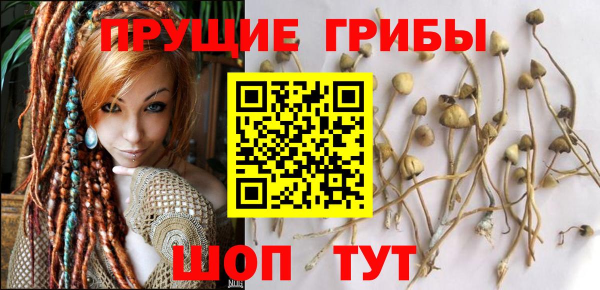 Псилоцибиновые грибы GOLDEN TEACHER Чехов
