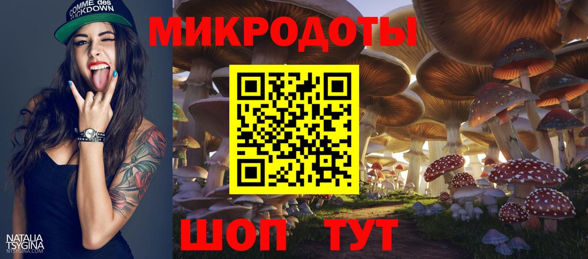 Чехов  Галлюциногенные грибы Psilocybe  Вход с VPN 